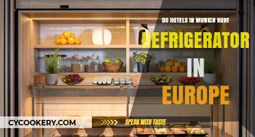 Do Munich Hotels in Europe Offer In-Room Refrigerators?