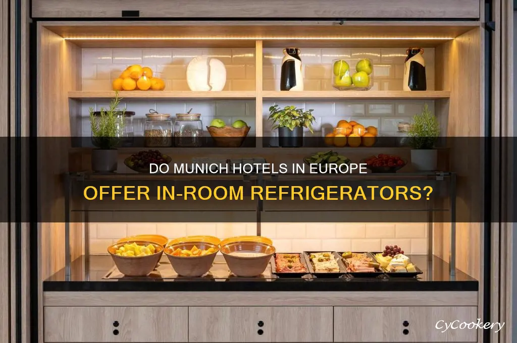 do hotels in munich have refrigerators in europe