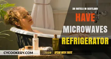 Scottish Hotel Amenities: Microwaves and Fridges Availability Explained