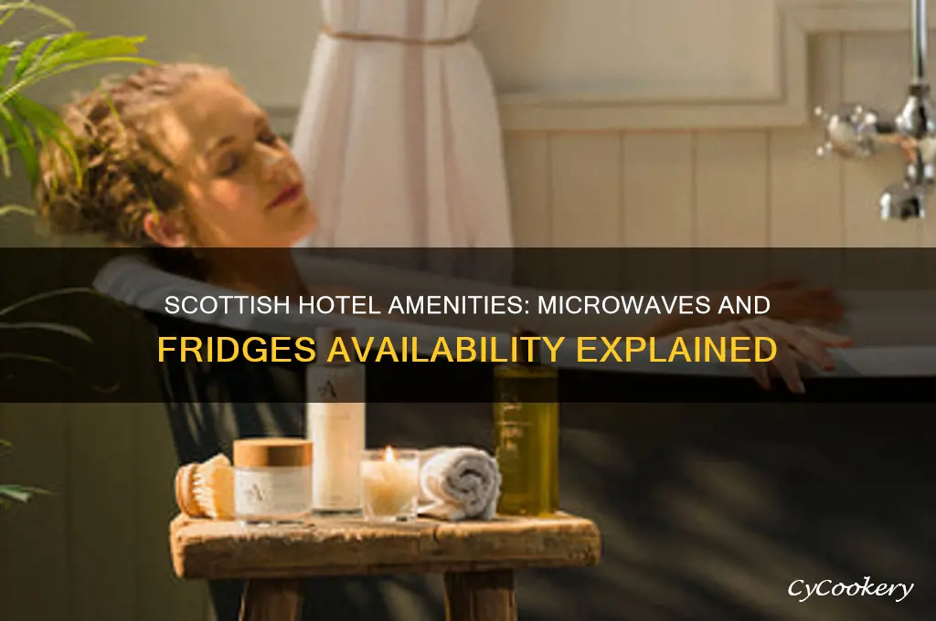 do hotels in scotland have microwaves refrigerators