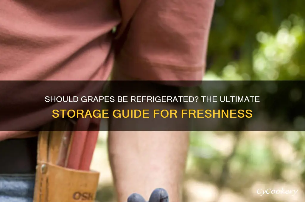 do i do i not refrigerate grapes