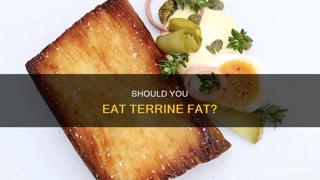 do i eat terrine fat