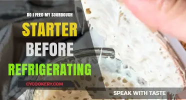 Should You Feed Your Sourdough Starter Before Refrigerating? Tips & Tricks