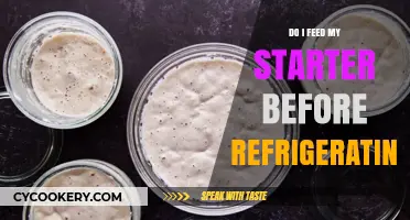 Should You Feed Your Sourdough Starter Before Refrigerating? Tips & Tricks