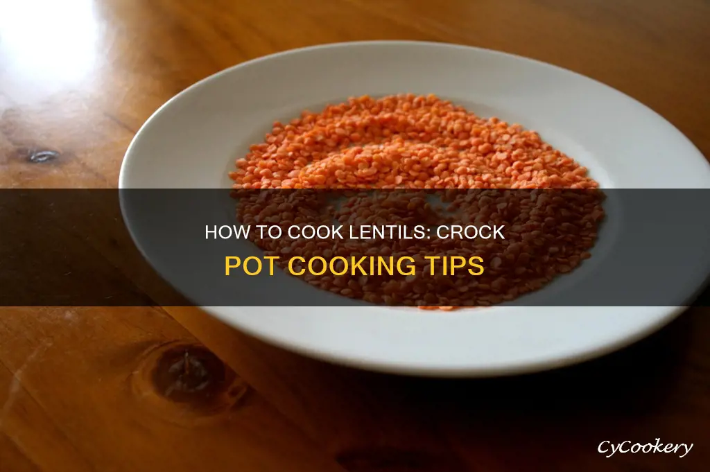 do I hage to cook pentils before the crock pot