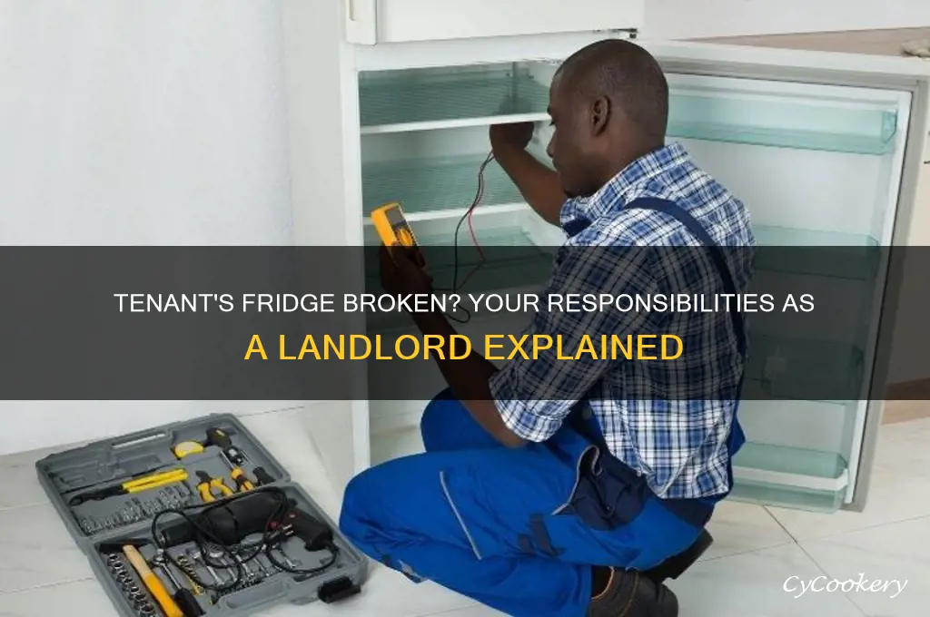 do i have to fix tenants refrigerator