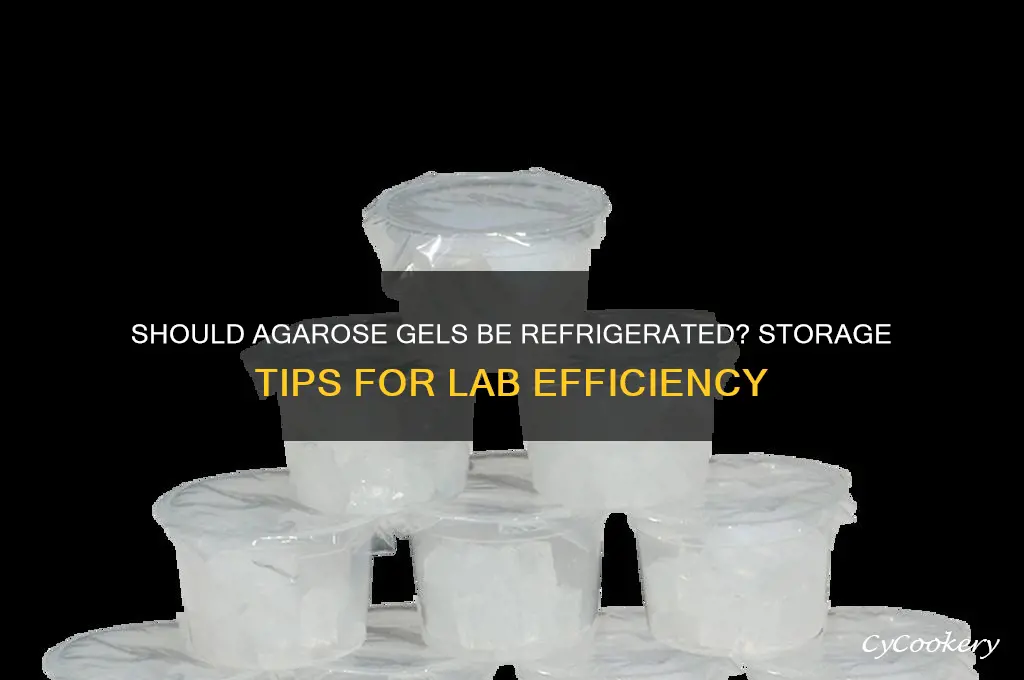 do i have to refrigerate agarose gels