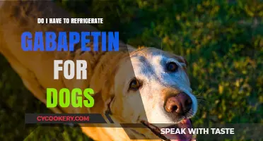 Should Gabapentin for Dogs Be Refrigerated? Storage Tips Revealed