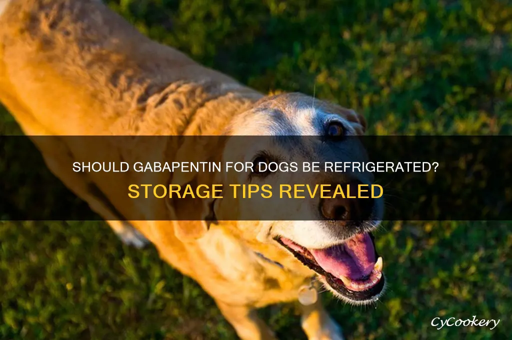 do i have to refrigerate gabapetin for dogs