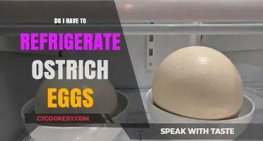 Should Ostrich Eggs Be Refrigerated? Storage Tips for Freshness