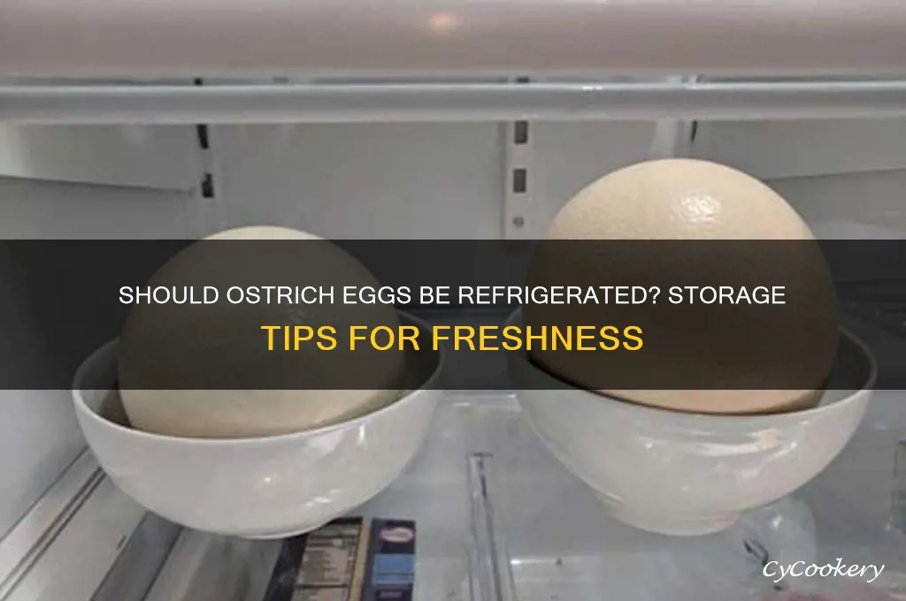 do i have to refrigerate ostrich eggs