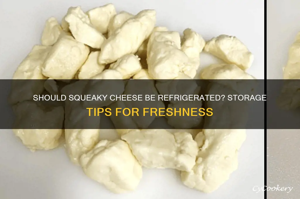 do i have to refrigerate squeeky cheese