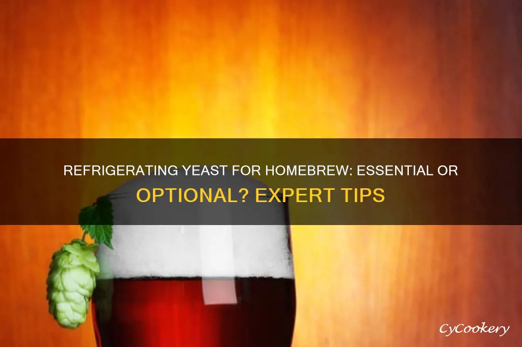 do i have to refrigerate yeast homebrew