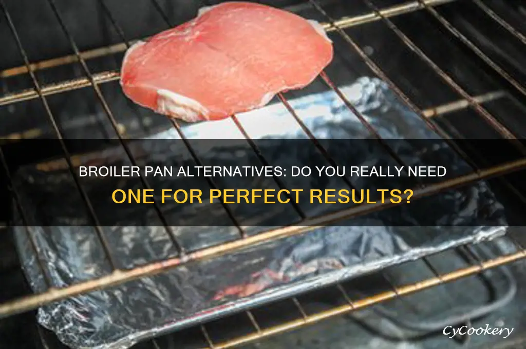 do I have to use a broiler pan
