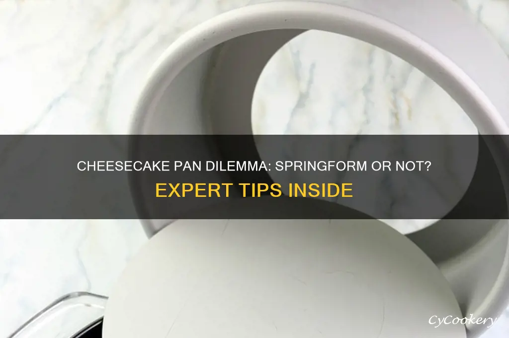 do I have to use a springform pan for cheesecake