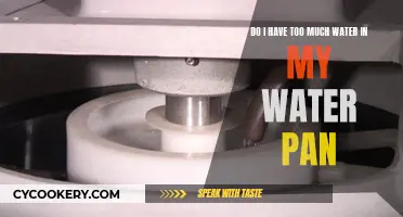 Water Pan: Too Much Water?