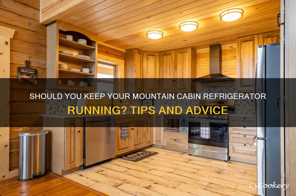 do i leave refrigerator on in a mountain cabin