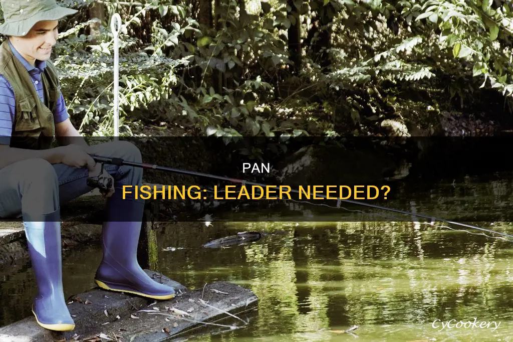 do I need a leader for pan fishing