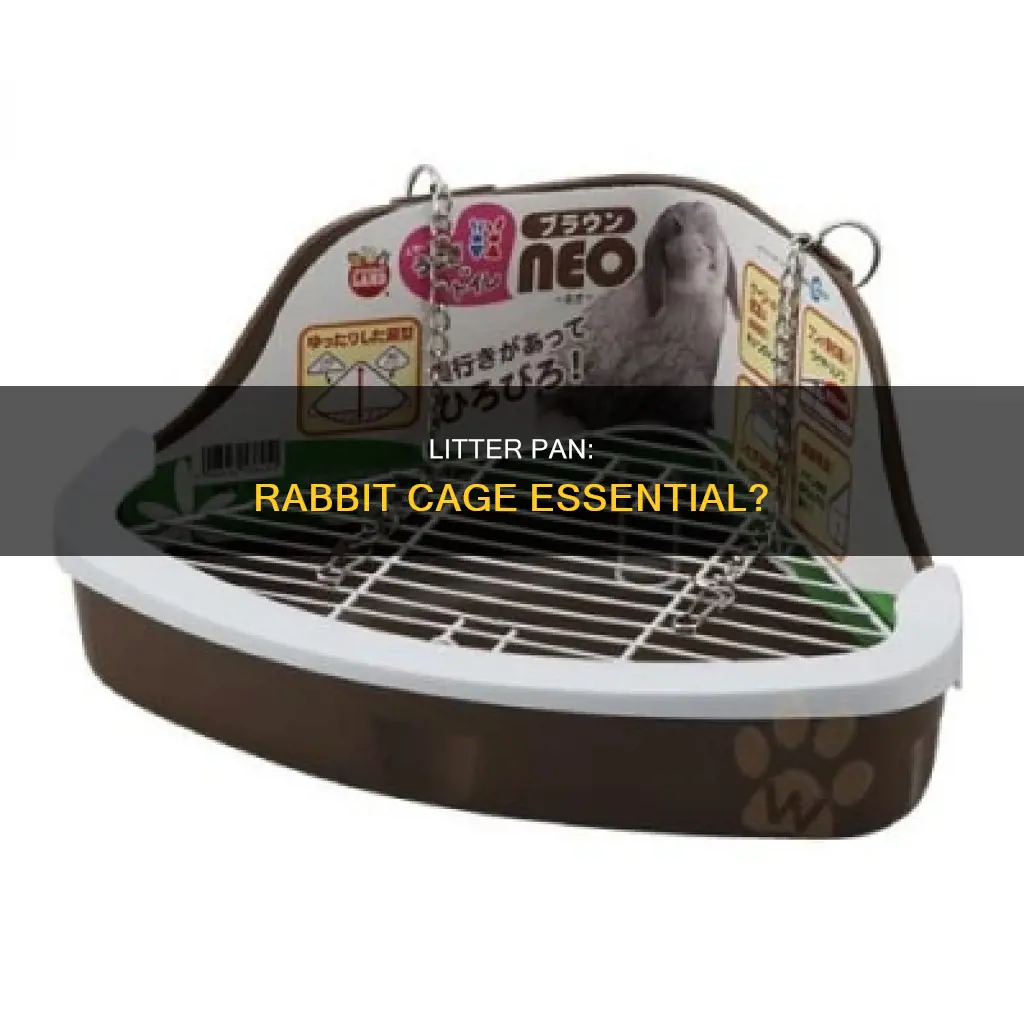 do I need a litter pan in the rabbit cage