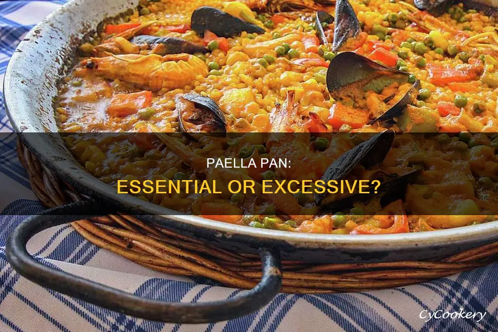 do I need a paella pan