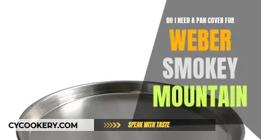 Weber Smokey Mountain: Pan Cover Essential?