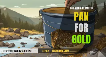 Gold Panning: Permits Needed?