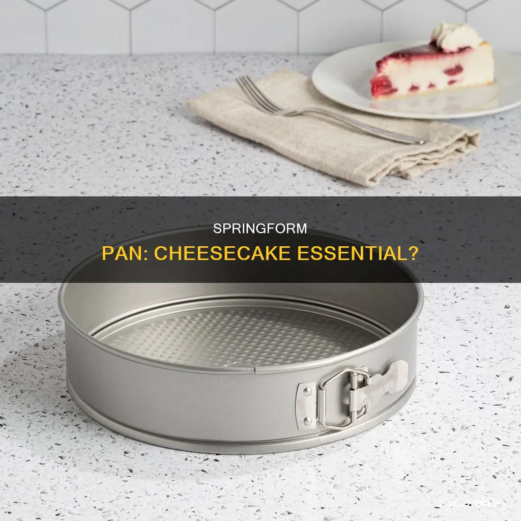 do I need a springfoam pan for cheescake