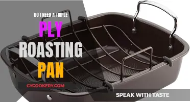 Triple-Ply Roasting Pan: Necessary Upgrade?