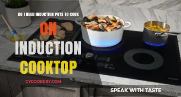 Induction Cooking: Special Pots or Regular Ones?