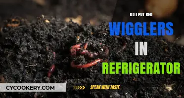 Should You Refrigerate Red Wigglers? A Worm Care Guide