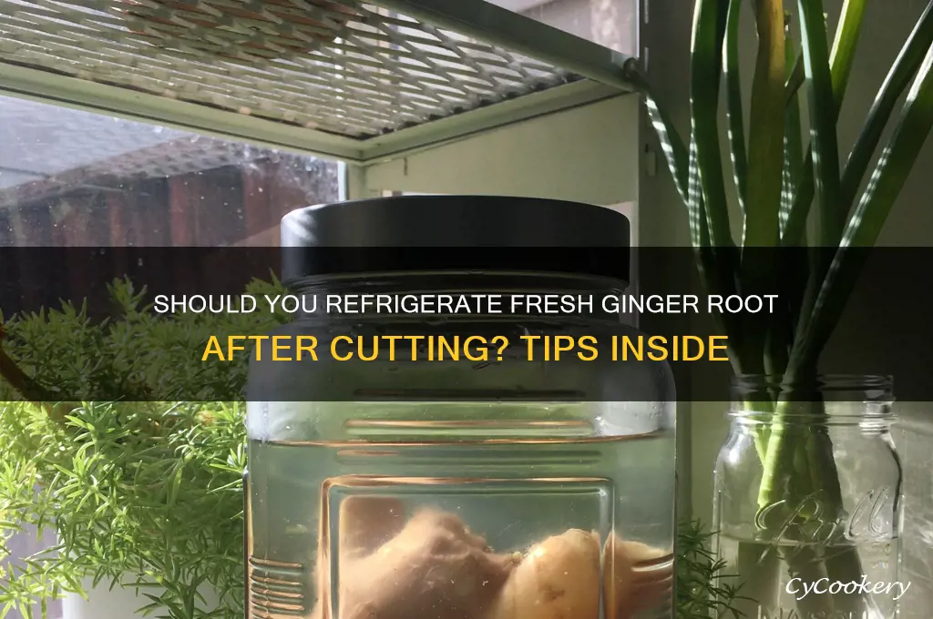 do i refrigerate fresh ginger root after cutting
