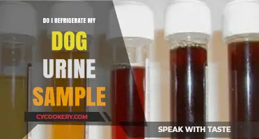 Should You Refrigerate Your Dog's Urine Sample? Quick Tips