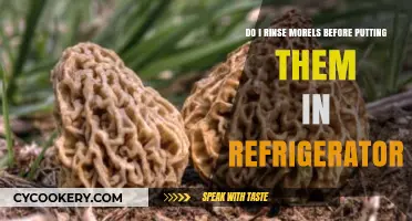 Should You Rinse Morels Before Refrigerating? A Quick Guide