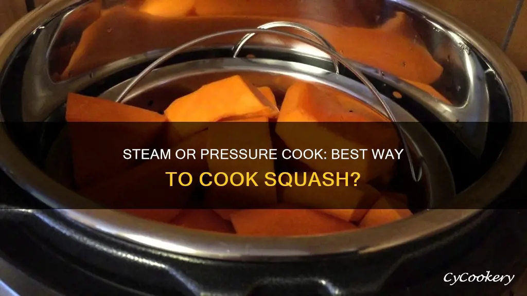 do i steam or pressure cook a whole squash