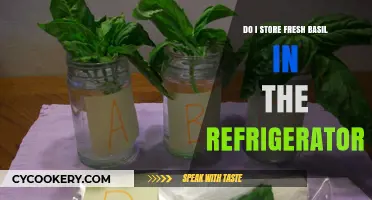 How to Store Fresh Basil: Refrigerator Tips for Longer Freshness