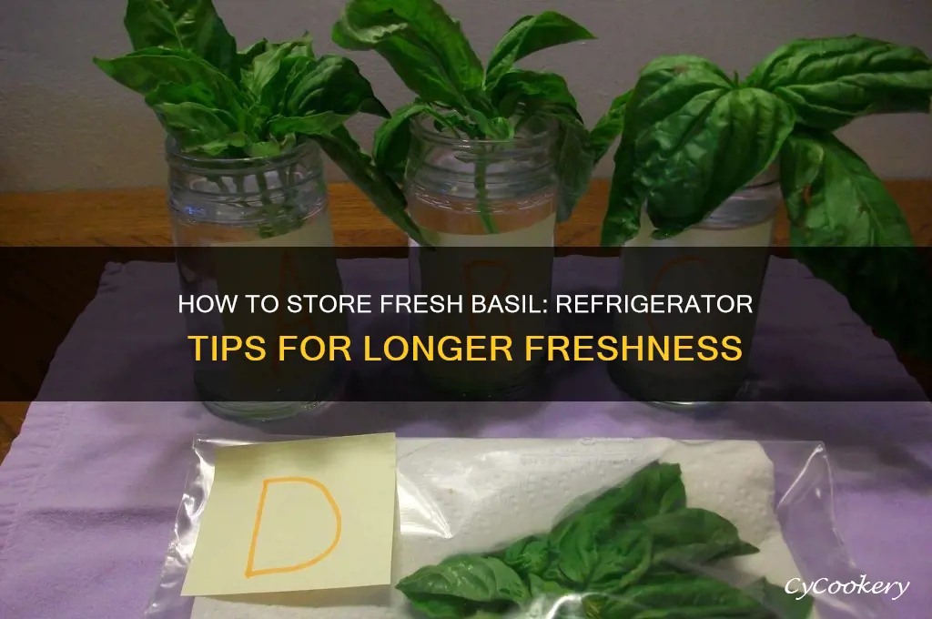 do i store fresh basil in the refrigerator