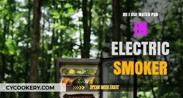 Should You Use a Water Pan in Your Electric Smoker?