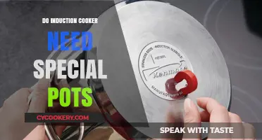 Induction Cookers: Do You Need Special Pots?