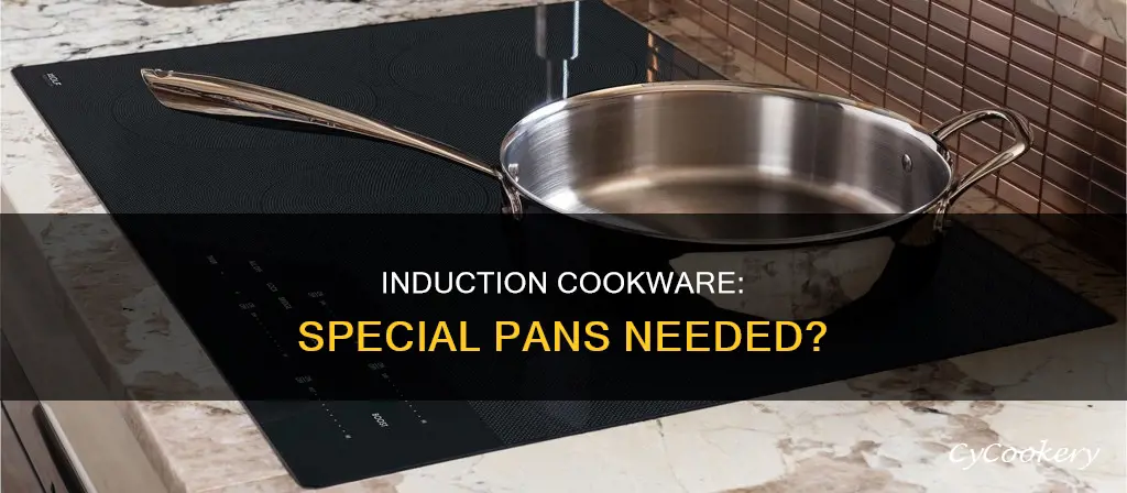 do induction cooktops need a special kinnd of pan