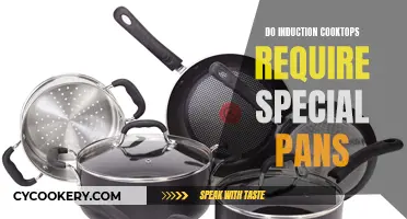 Induction Cooktops: Do You Need Special Pans?