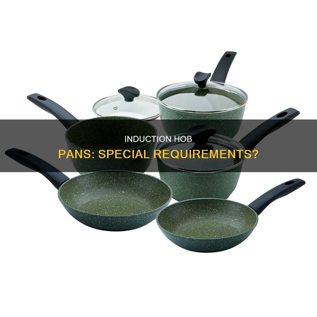 do induction hobs need special pans