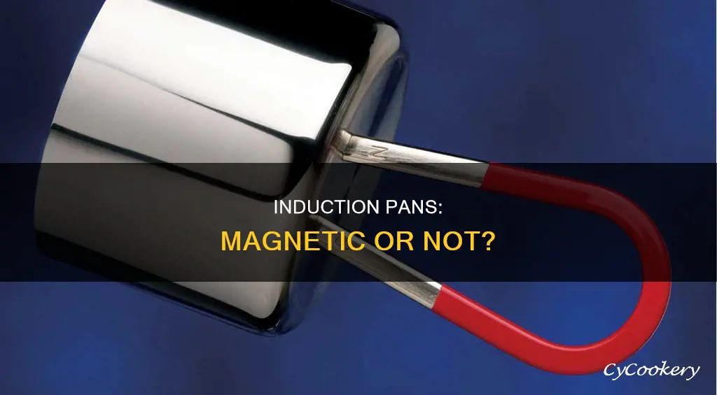 do induction pans need t6o be magnents