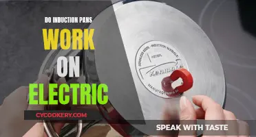 Induction Pans: Electric Stove Compatibility Explained