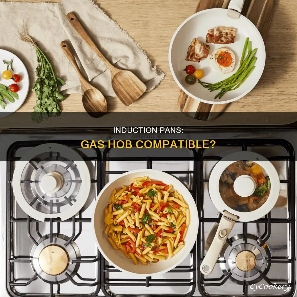 do induction pans work on gas hobs