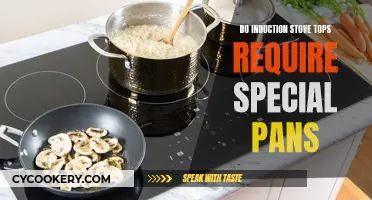 Induction Stove Tops: Do You Need Special Pans?