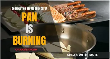 Induction Stoves: Burning Pan, Auto-Shutoff Feature