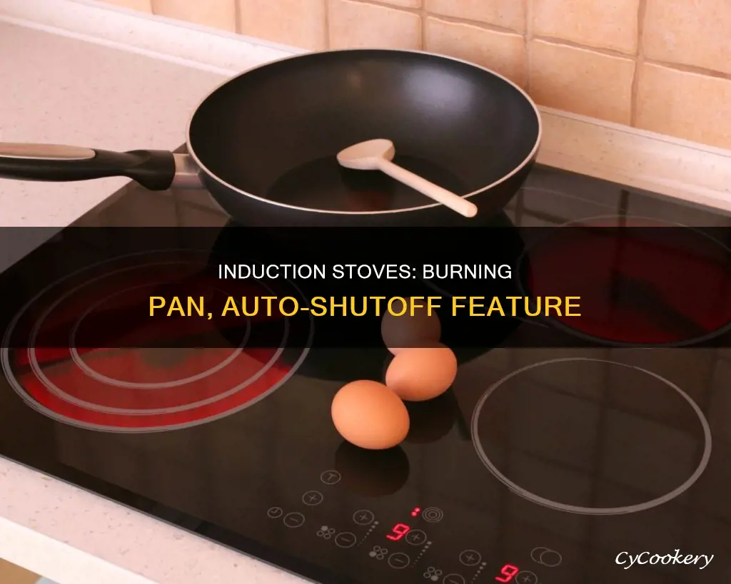 do induction stoves turn off if pan is burning