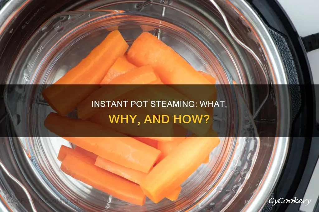 do instant pots steam when cooking