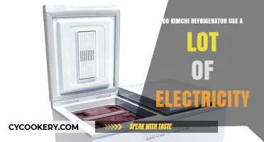 Kimchi Refrigerators: Energy Efficiency and Electricity Consumption Explained