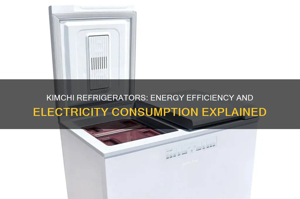 do kimchi refrigerator use a lot of electricity